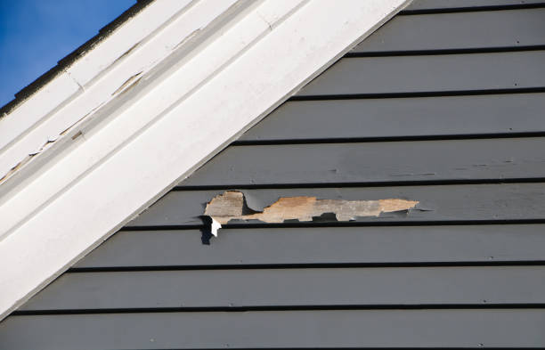 Best Hoarding Cleanup  in El Rio, CA